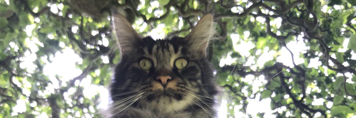 JoHodds's profile banner image