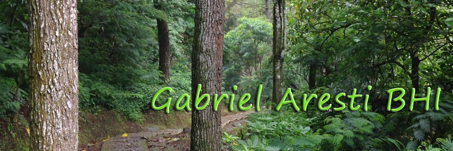 GarestiBHI's profile banner image