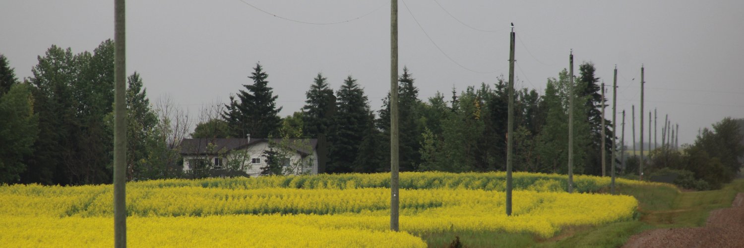 AFREA1's profile banner image