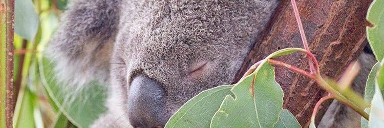 Cato_34's profile banner image