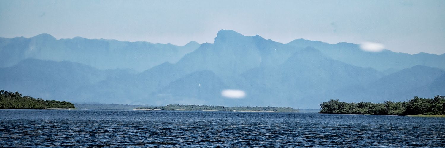 igorbonatto's profile banner image