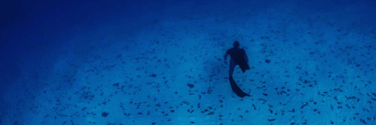 Herbert Nitsch banner