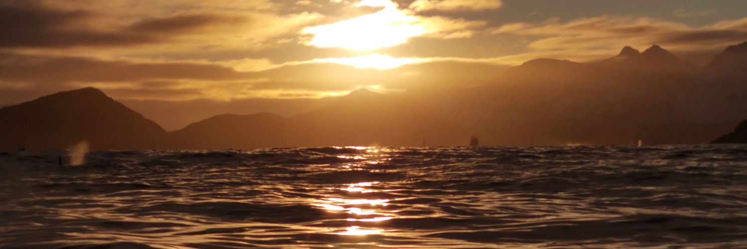 marcopollari's profile banner image