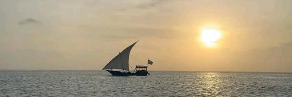 shaynaaholt's profile banner image