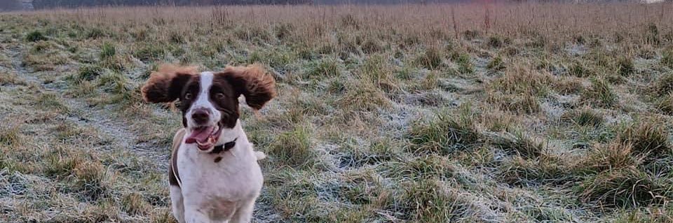 DomGilliatt's profile banner image