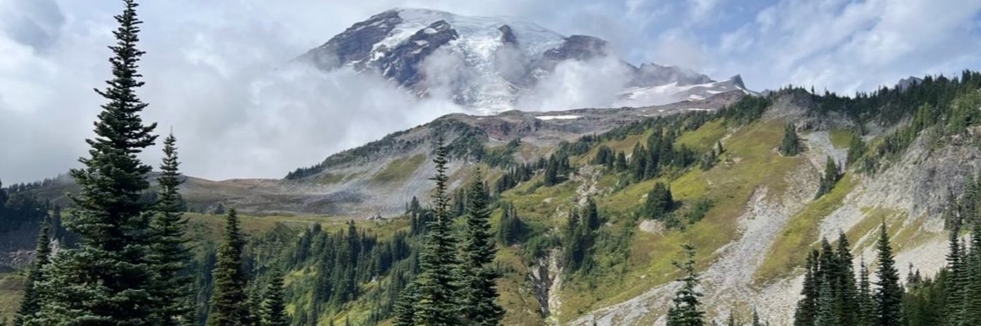 RachelDashSC's profile banner image