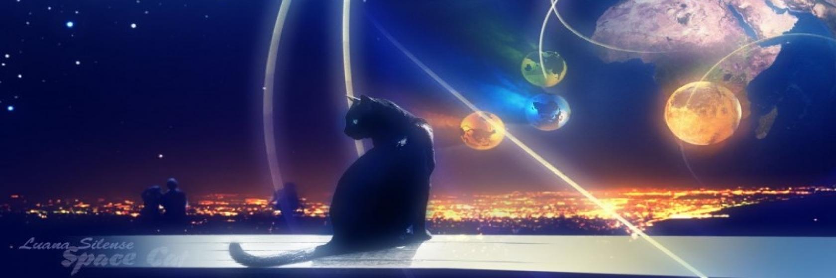 Cicus Maximus  banner