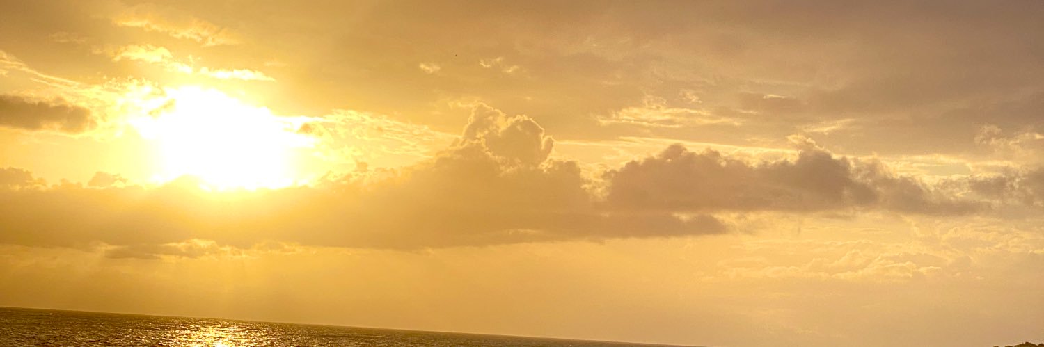 ToniiRomae's profile banner image