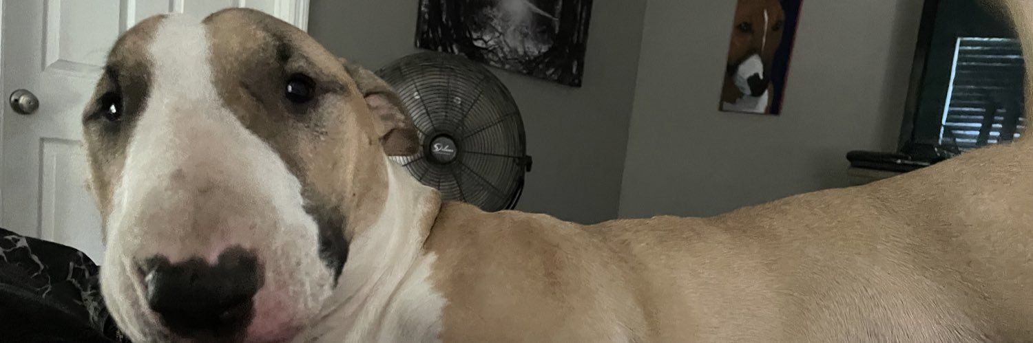 Cork4312's profile banner image