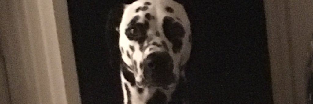 AcidburN__'s profile banner image
