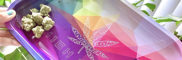 lextaliones_ Profile Banner