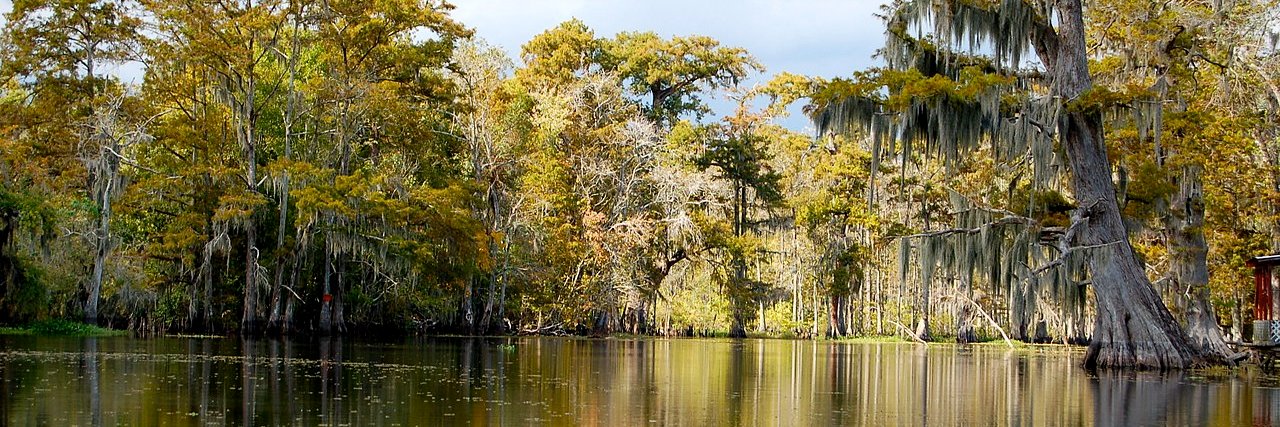 Bayou_Con's profile banner image
