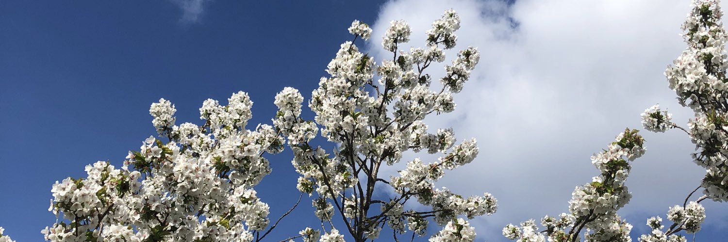 The Boldest Type banner