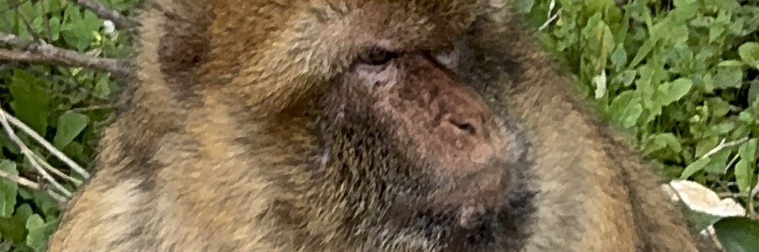 Dan O'gorman (@Dan_Ogorman_) / Posts / X