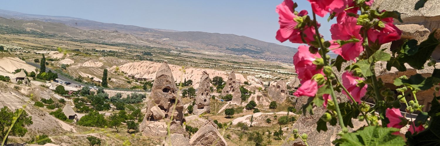 MustafaDingil's profile banner image