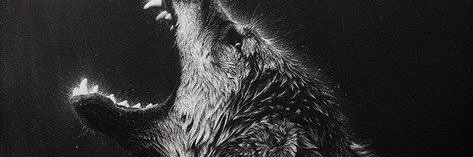 PKTHELYRICIST's profile banner image