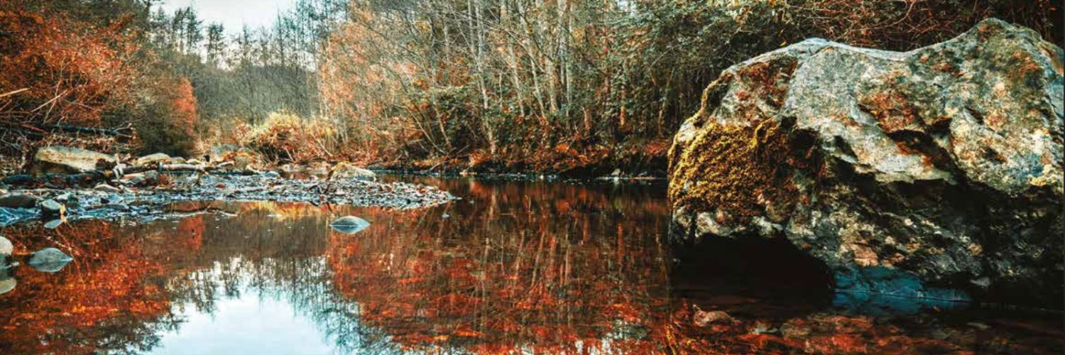 StreamScapes's profile banner image
