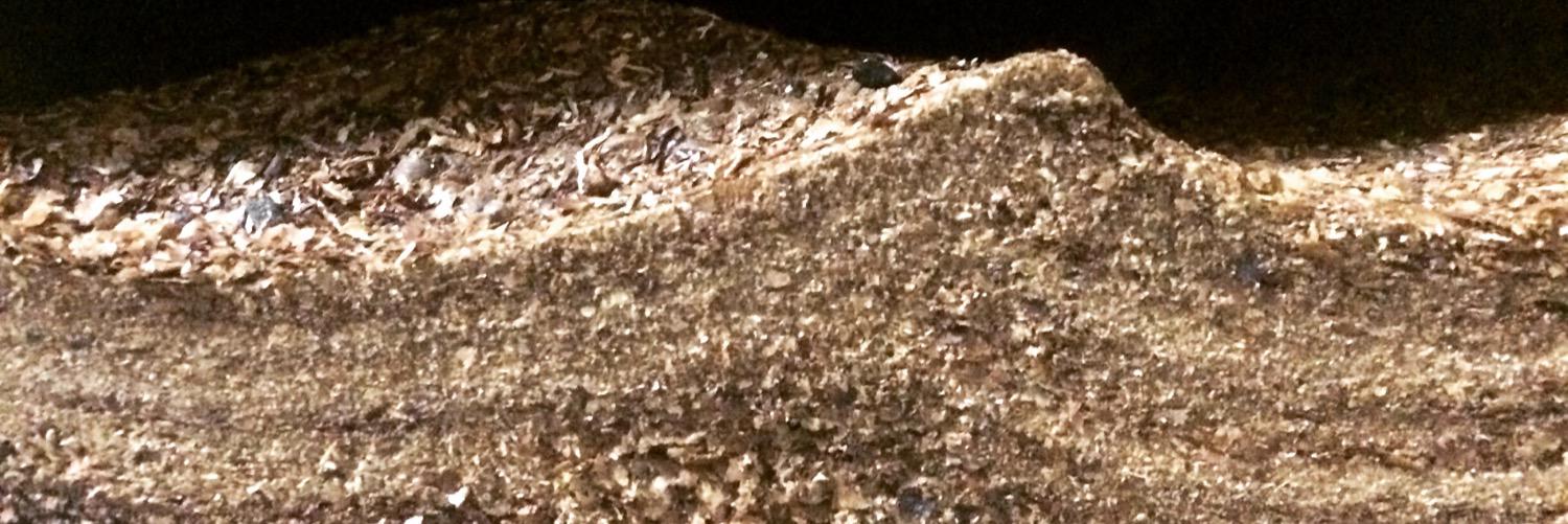 pleasantacid's profile banner image
