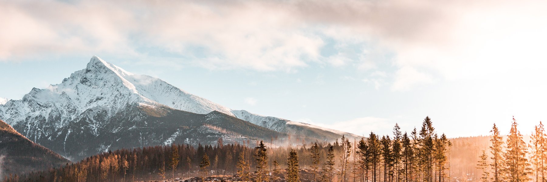 thelifeisdesign's profile banner image