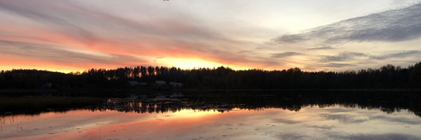 myllarni Profile Banner