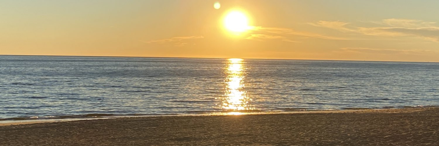 Lorraine Higgins banner