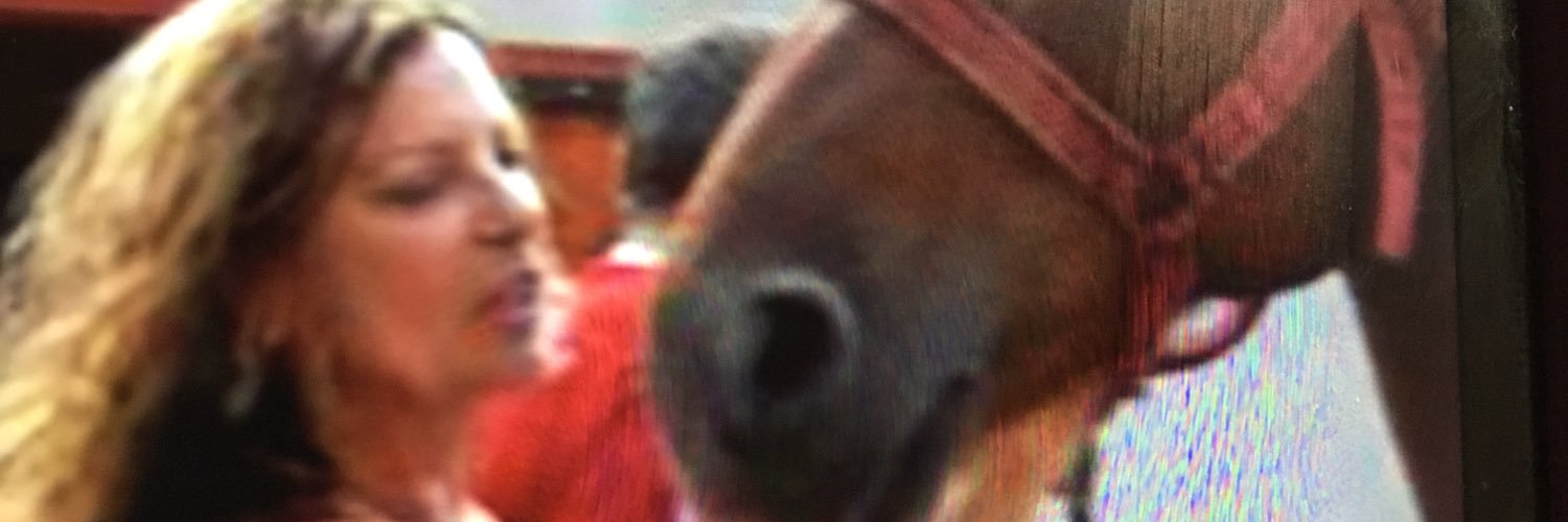 LaurenBode's profile banner image