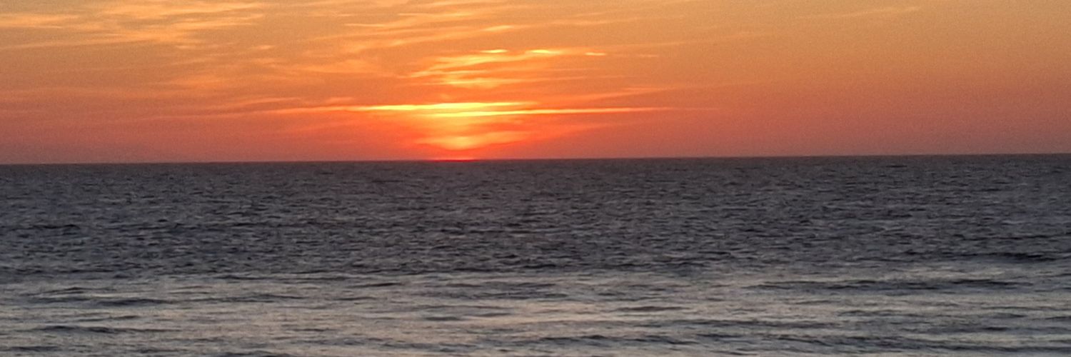 coni3344's profile banner image