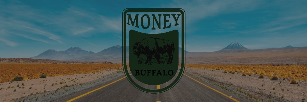 Money Buffalo banner
