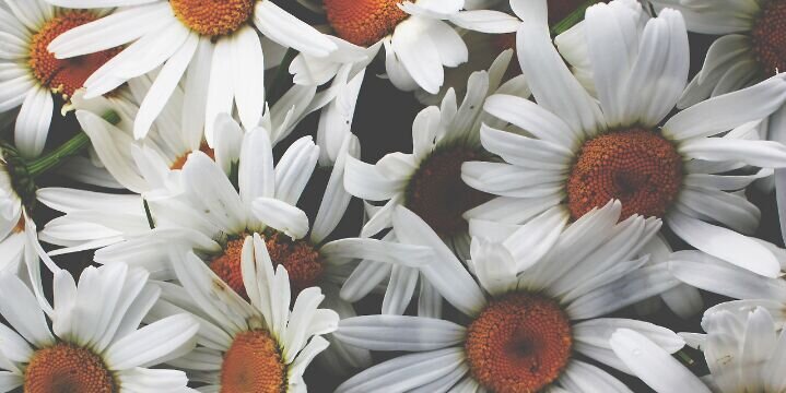 Juliette_Lensen's profile banner image