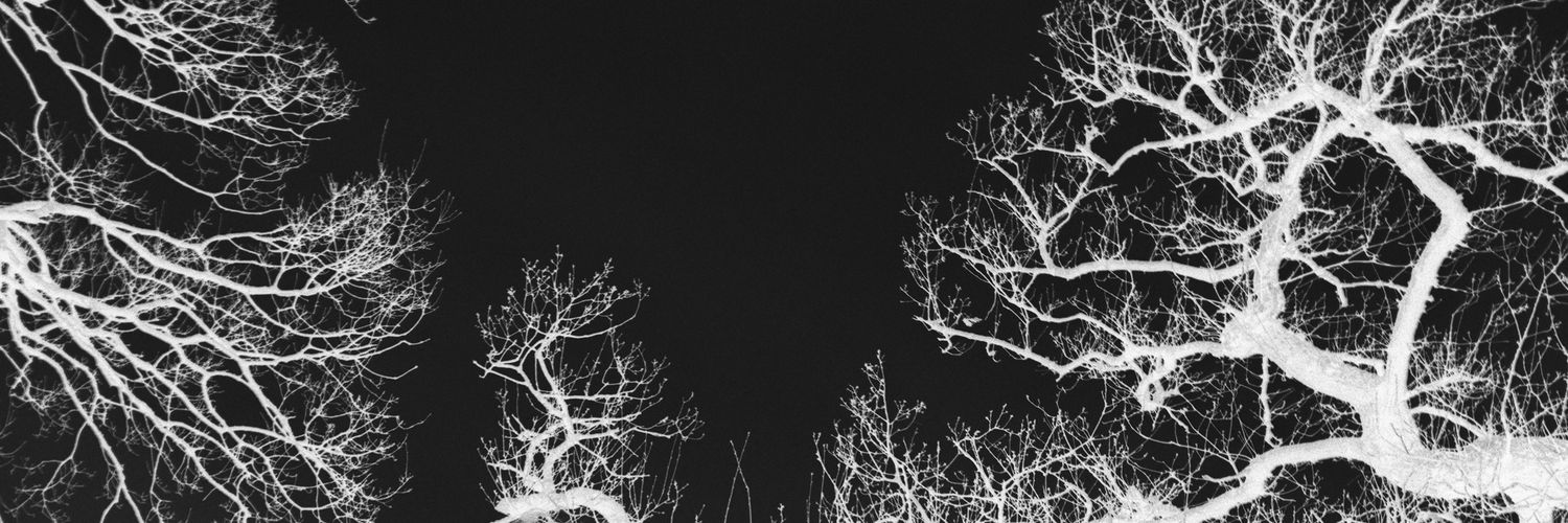 El_ToroRojo's profile banner image
