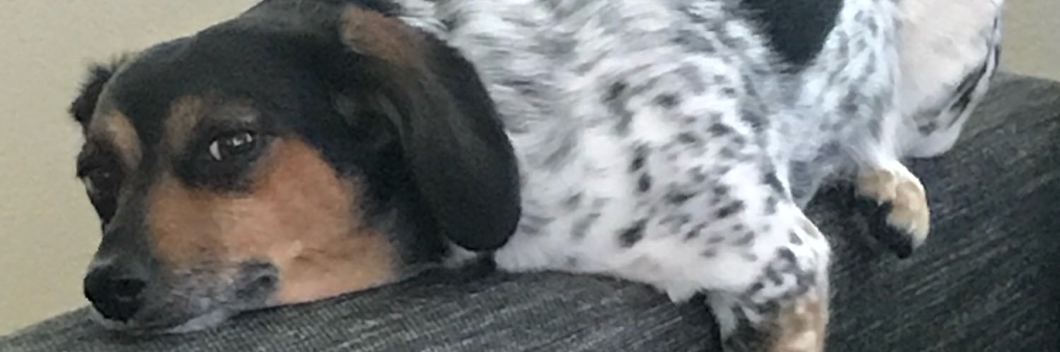joflo44's profile banner image