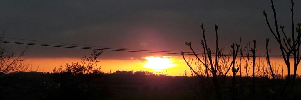 krikri79's profile banner image