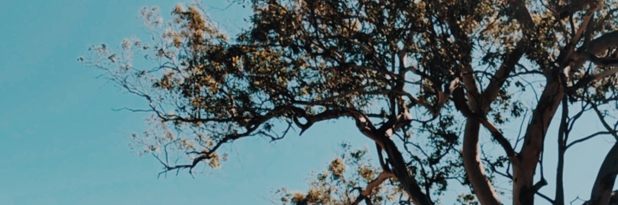 valemc200's profile banner image