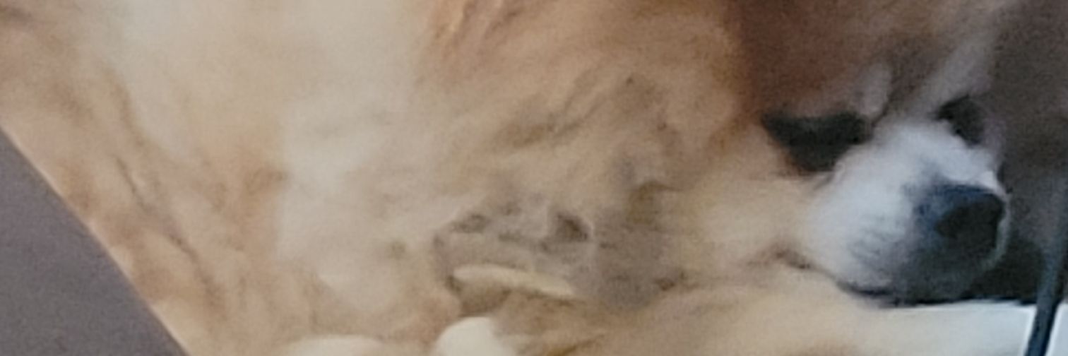 Clemsanityy's profile banner image