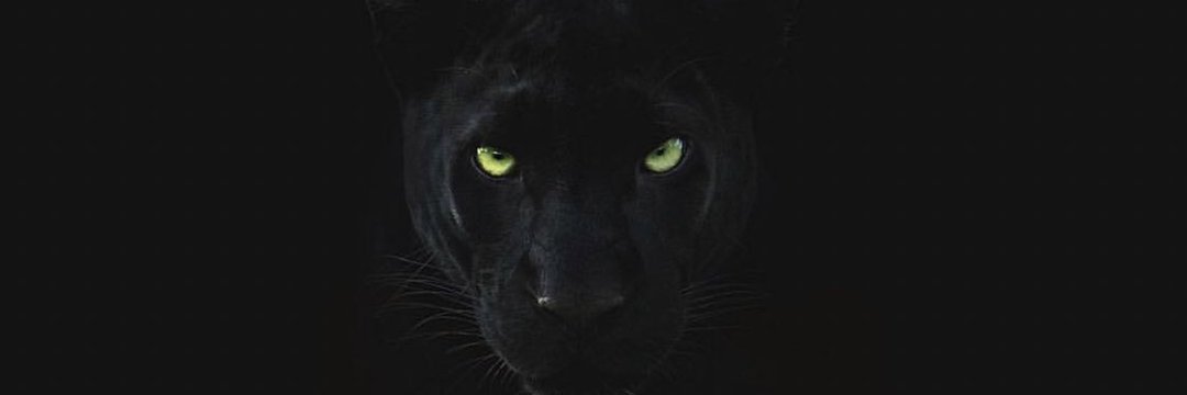 sammyxcel's profile banner image