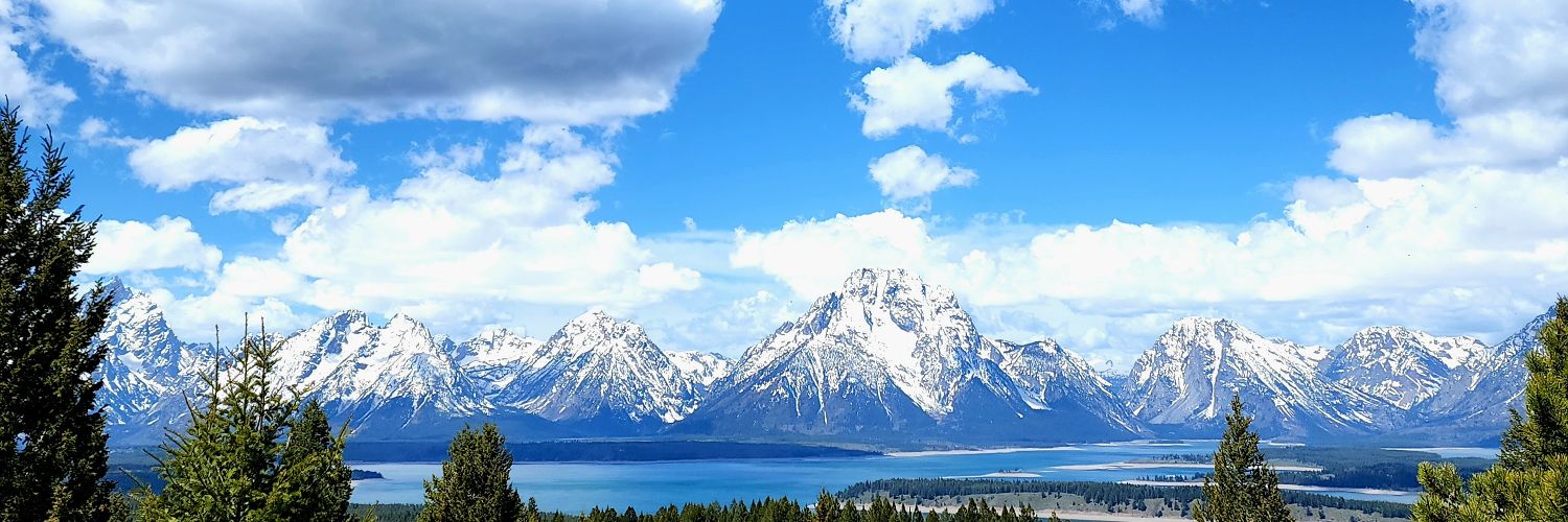 timothyjameslee's profile banner image