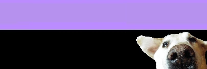 Sam Collett banner
