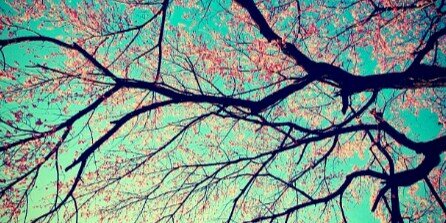 AndreMoiia's profile banner image
