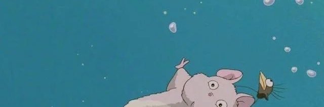 caami_sol's profile banner image