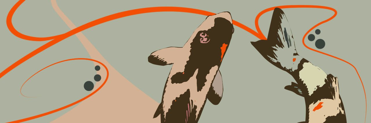 1004oex's profile banner image