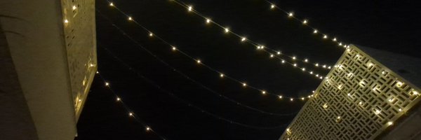 SrinjitV Profile Banner