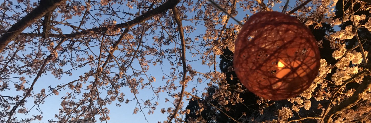 otakitown's profile banner image
