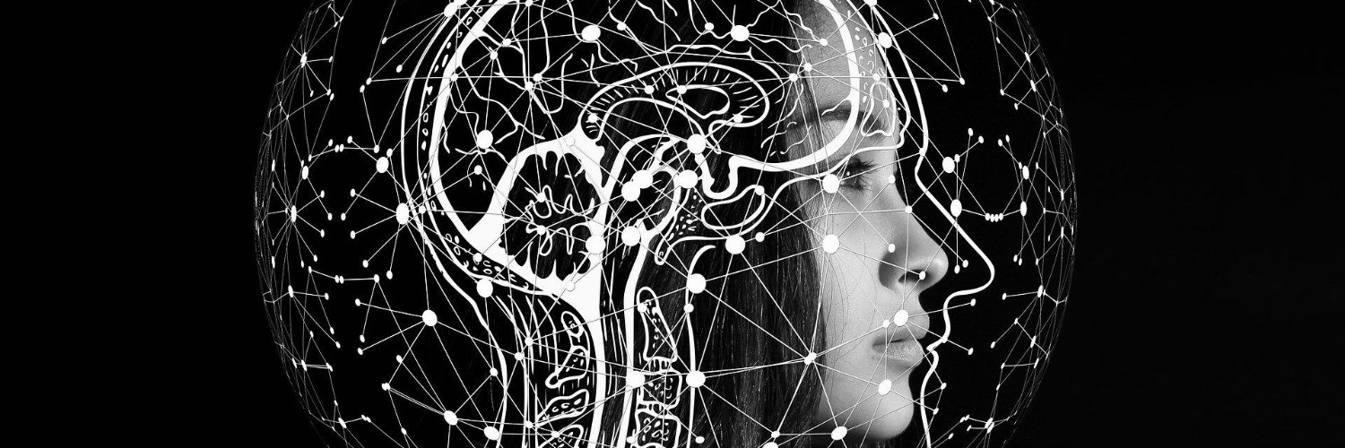 Julia_Schieber's profile banner image