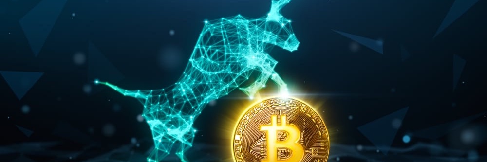 bulltoken's profile banner image