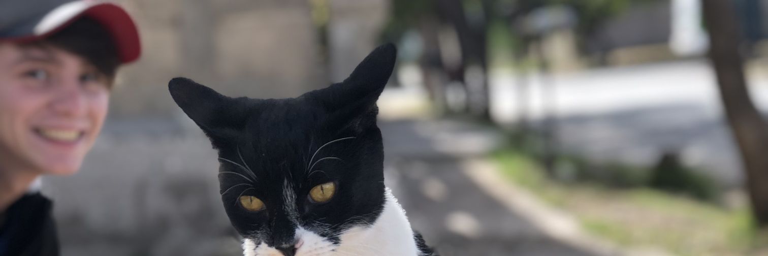R_Samuel14's profile banner image