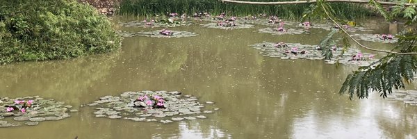 whatallydid Profile Banner