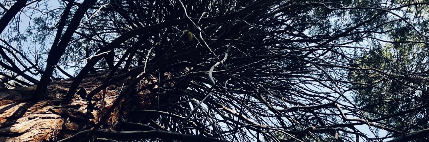 itsjarim's profile banner image