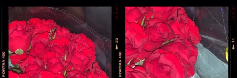 chloedocherty07's profile banner image