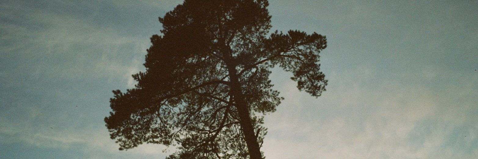 to_be_a_bum's profile banner image