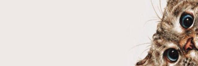 madz7078's profile banner image